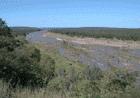 Olifants River from N'wamanzi