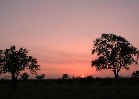 Kruger Park photo: Sunrise