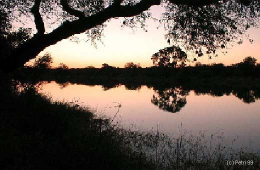 Kruger Park photo: Sunset