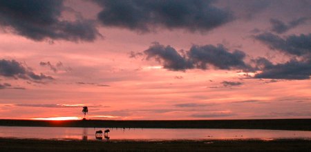 Liuwa Plain sunset with wildebeest in a pan